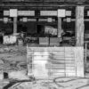 whiteness in Černobyl © Marco Cortesi